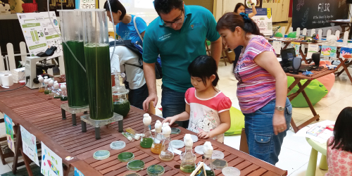 Fresnel — My Bio Science STEM Carnival